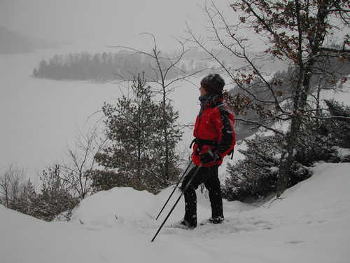 Cross Country Skier on the Highbanks Trail
